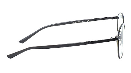 Porsche Design 8731 A
