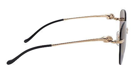 Cartier 0269S 001