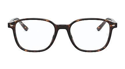 Ray-Ban Leonard RX 5393 2012