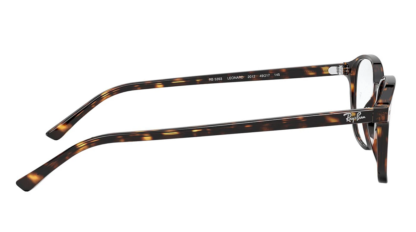 Оправа Ray-Ban Leonard RX 5393 2012 фото 3