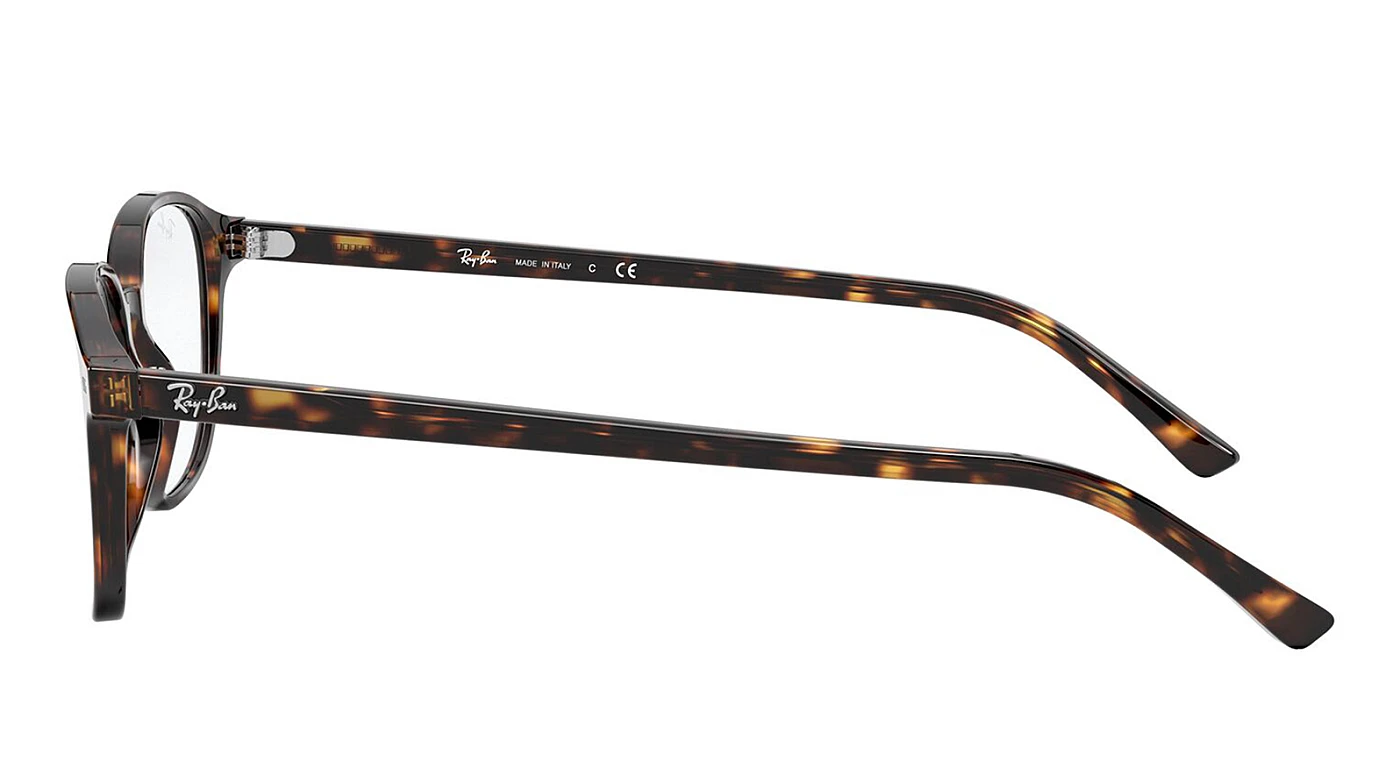 Оправа Ray-Ban Leonard RX 5393 2012 фото 4