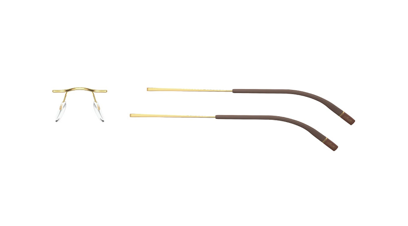 Оправа Silhouette 5541_70 7520 19/50 фото 1