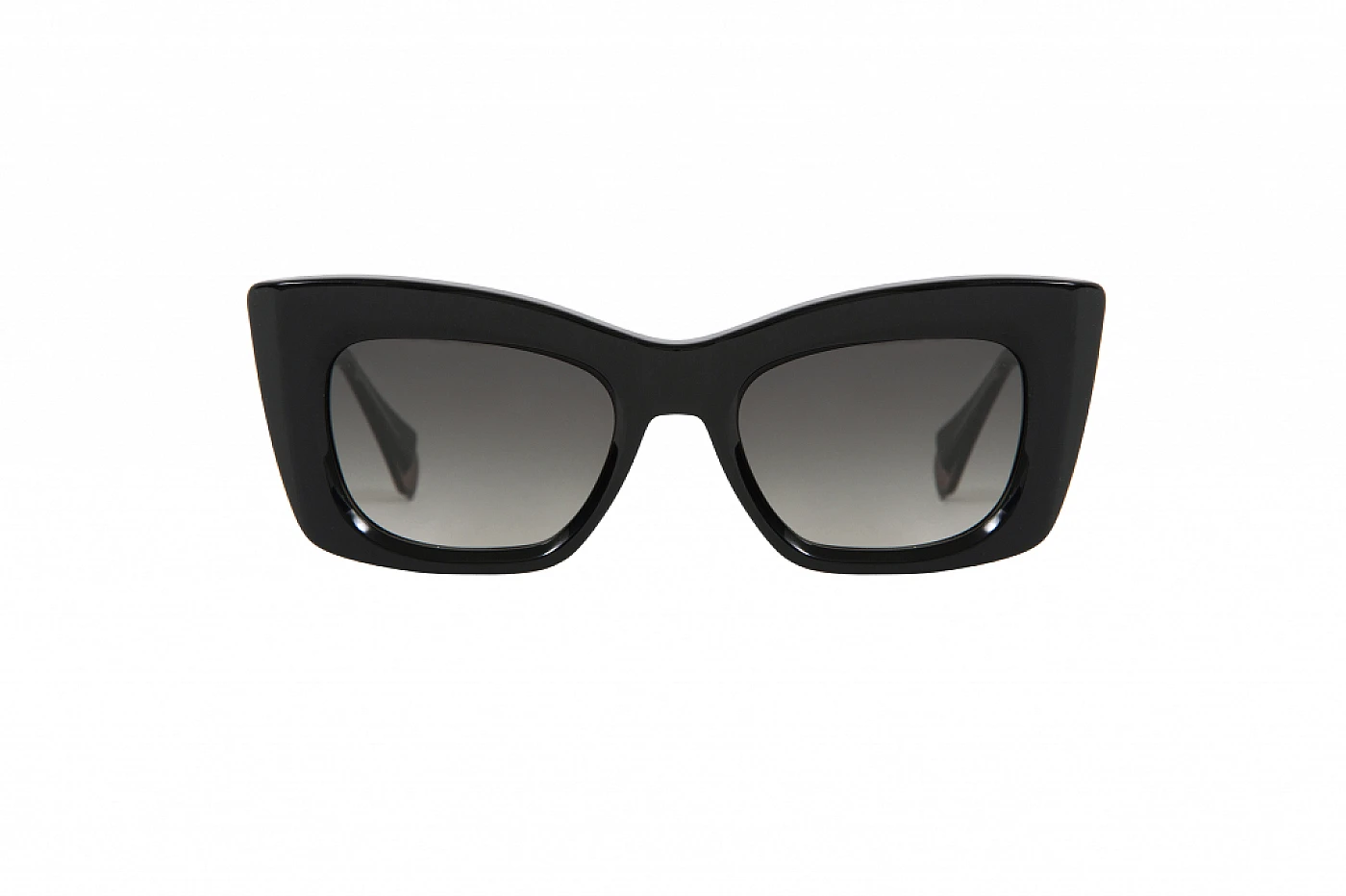 Женские солнцезащитные очки GIGIBARCELONA OPHRA Black фото 1