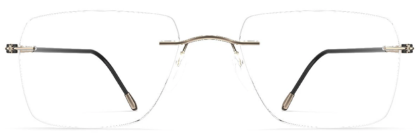 Оправа для очков для зрения 5569_DN 7530 55/19 Silhouette Sil_LiteSpirit_Rimless фото 1