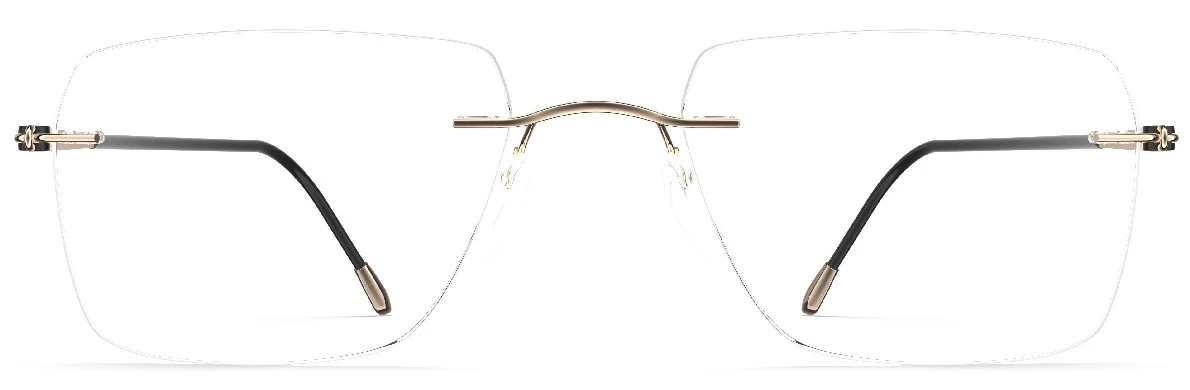 Оправа для очков для зрения 5569_DN 7530 55/19 Silhouette Sil_LiteSpirit_Rimless оригинальный размер фото 1