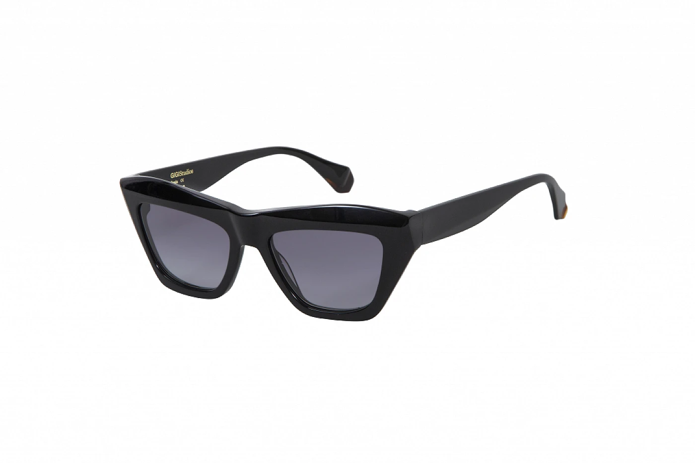 Солнцезащитные очки GIGIBARCELONA CARLOTA Black фото 1