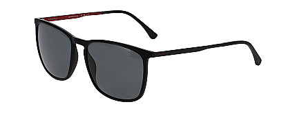 37618 6100 57/17 SG Menrad Jaguar