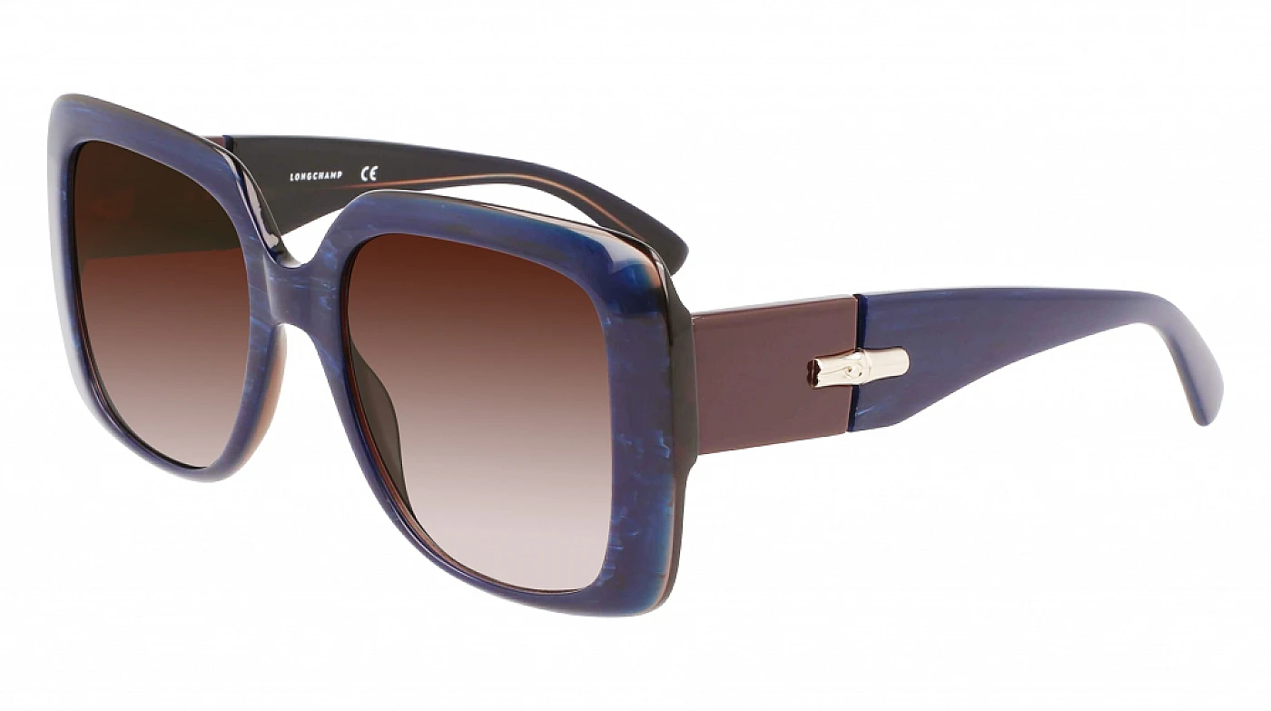 Солнцезащитные очки LONGCHAMP 713S BLUE STONE/BROWN фото 1