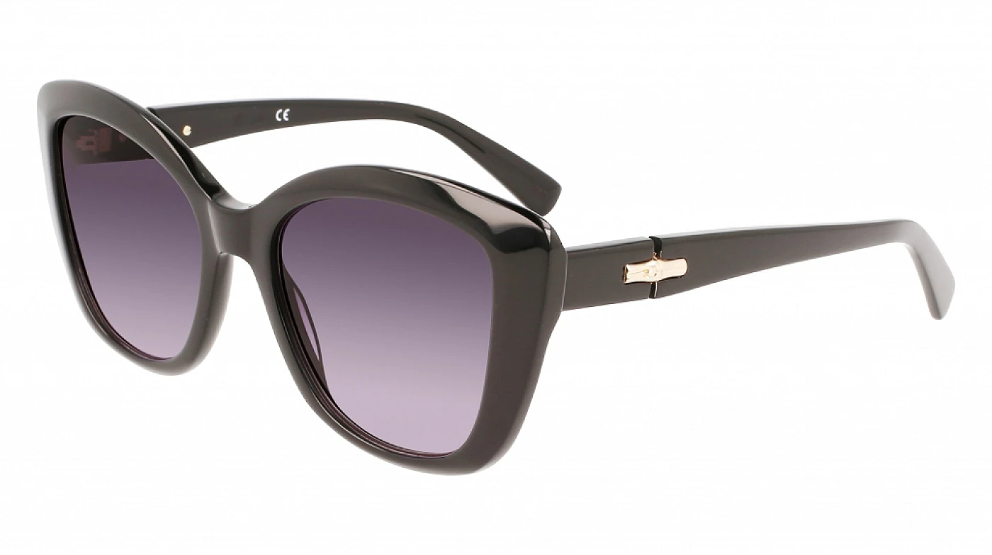 Солнцезащитные очки LONGCHAMP 714S BLACK фото 1