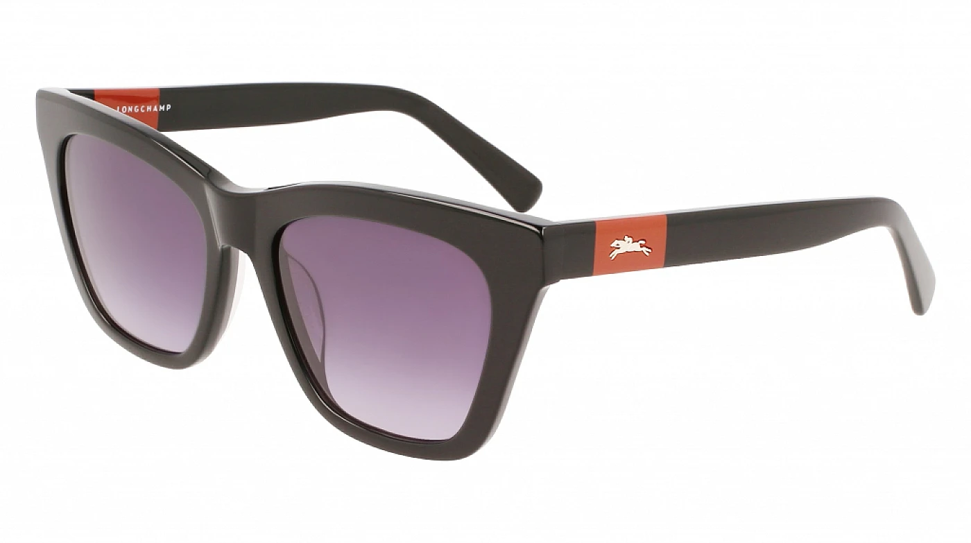 Солнцезащитные очки LONGCHAMP 715S BLACK фото 1
