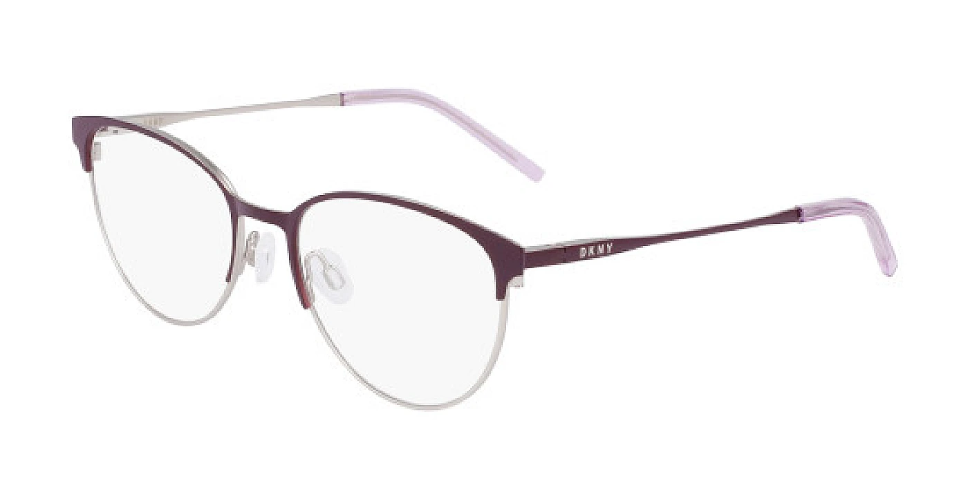 Оправа для очков для зрения DKNY 1030 PLUM / SILVER фото 1