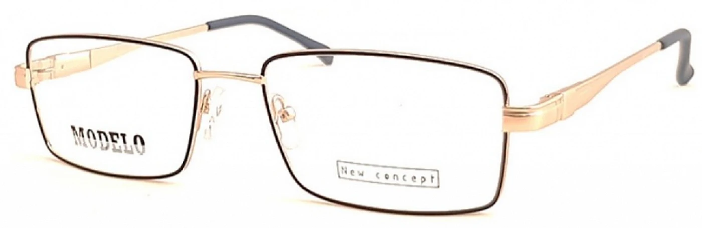 Оправа для очков MODELO 1456PT GOLD фото 1