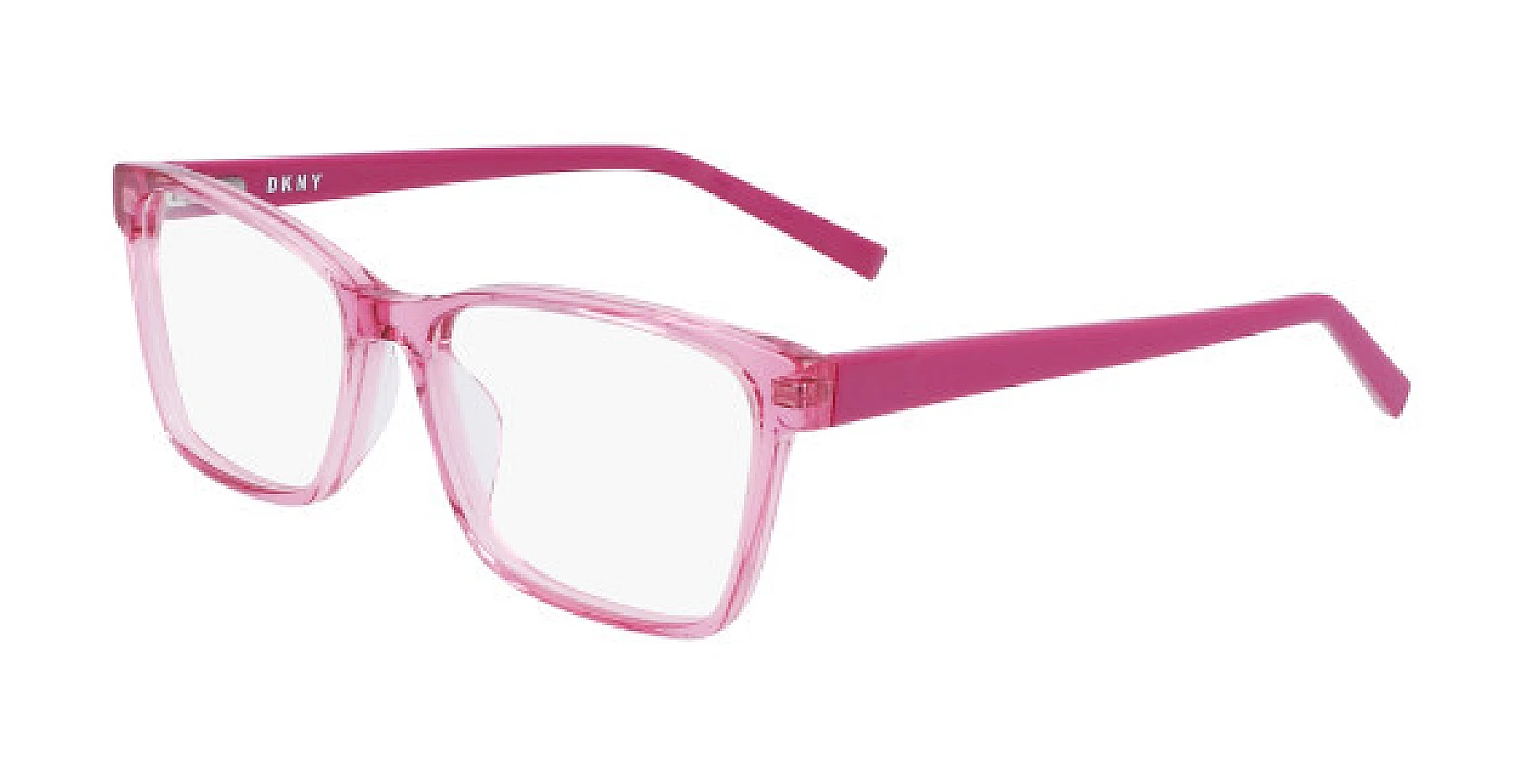 Оправа DKNY 5038 CRYSTAL BERRY фото 1