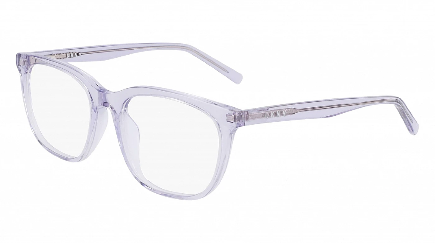 Оправа DKNY 5040 CRYSTAL SLATE LILAC фото 1