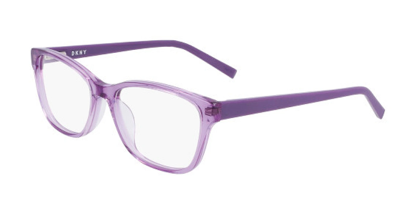 Оправа DKNY 5043 CRYSTAL PLUM фото 1