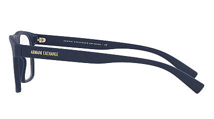 Armani Exchange 3079 8181
