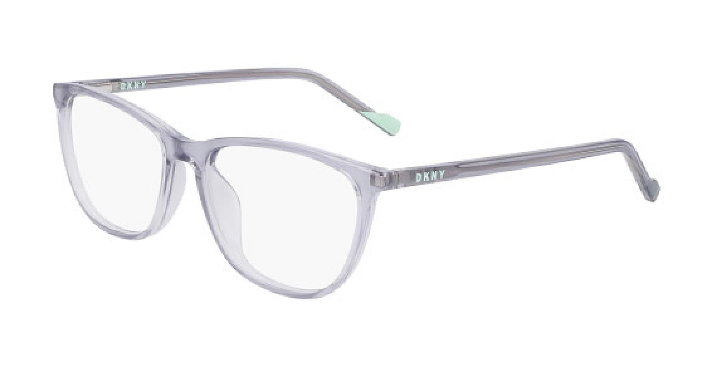 Оправа для очков для зрения DKNY 5044 CRYSTAL LIGHT SMOKE фото 1