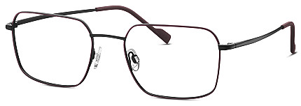 Оправа TITANflex Eschenbach 820890-10 53х19