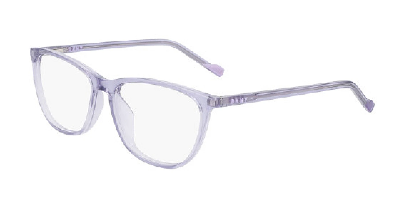 Оправа DKNY 5044 CRYSTAL SLATE LILAC фото 1
