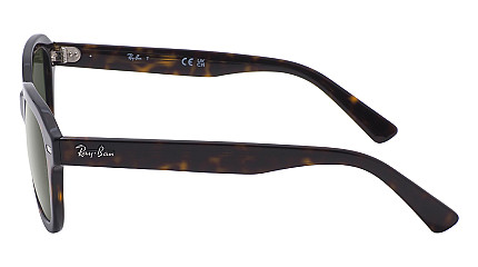 Ray-Ban Erika RB 4398 902/31