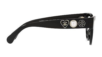Chanel 3436 C622
