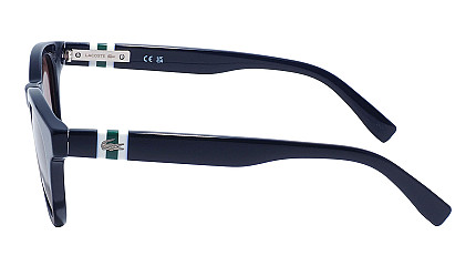 Lacoste 6006S 400