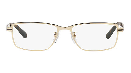 Bvlgari 1116TD 278