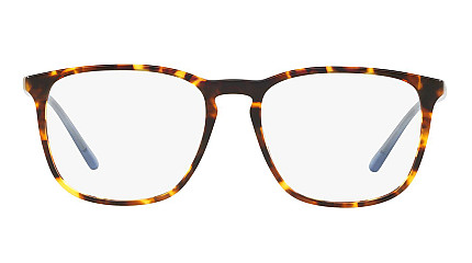 Ralph Lauren 2194 5249