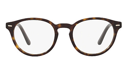 Ralph Lauren 2208 5003