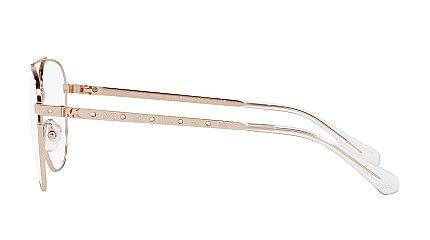Michael Kors 3054B 1108