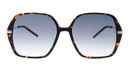 Hugo Boss BOSS 1660/S 2IK