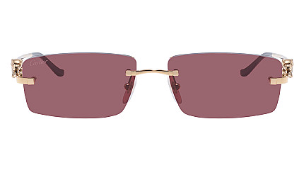 Cartier 0430S 009