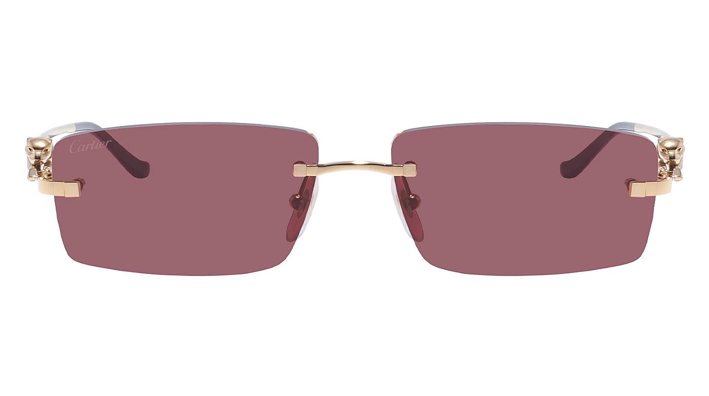 Женские солнцезащитные очки Cartier 0430S 009 фото 2