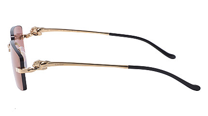 Cartier 0430S 009