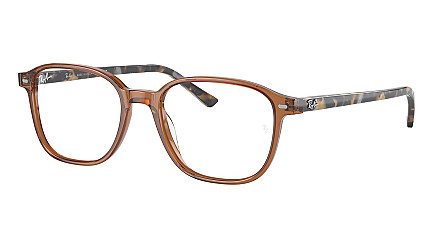 Ray-Ban Leonard RX 5393 8227