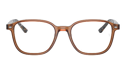 Ray-Ban Leonard RX 5393 8227