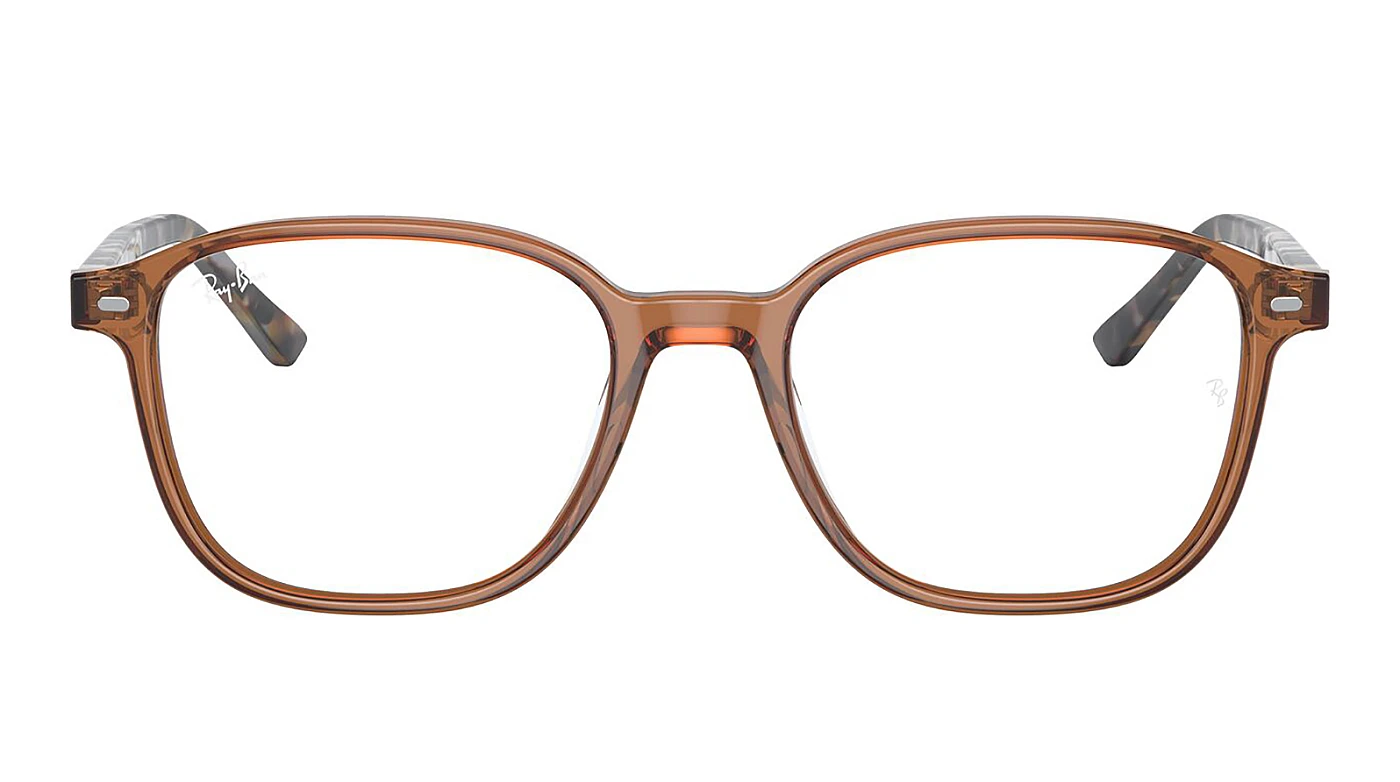 Оправа Ray-Ban Leonard RX 5393 8227 фото 2