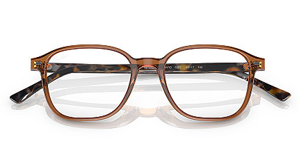 Ray-Ban Leonard RX 5393 8227