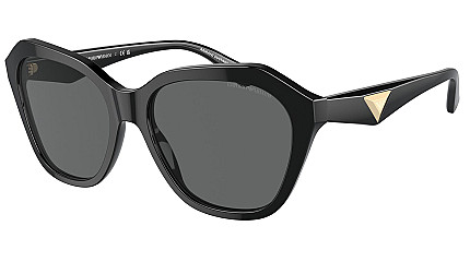 Emporio Armani 4221 501787