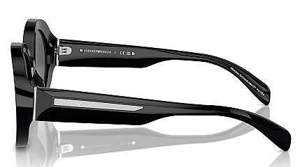 Emporio Armani 4231U 501787