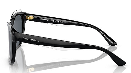 Emporio Armani 4209 605187