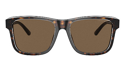 Emporio Armani 4208 605273