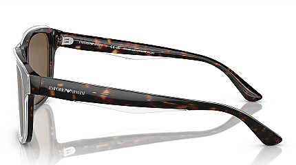 Emporio Armani 4208 605273