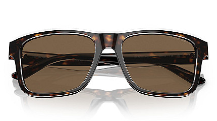 Emporio Armani 4208 605273