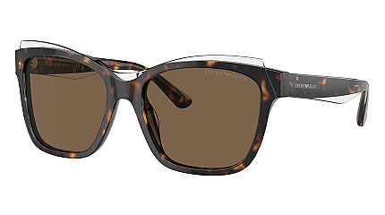 Emporio Armani 4209 605273