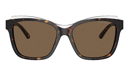 Emporio Armani 4209 605273