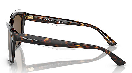 Emporio Armani 4209 605273