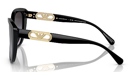Emporio Armani 4214U 53788G