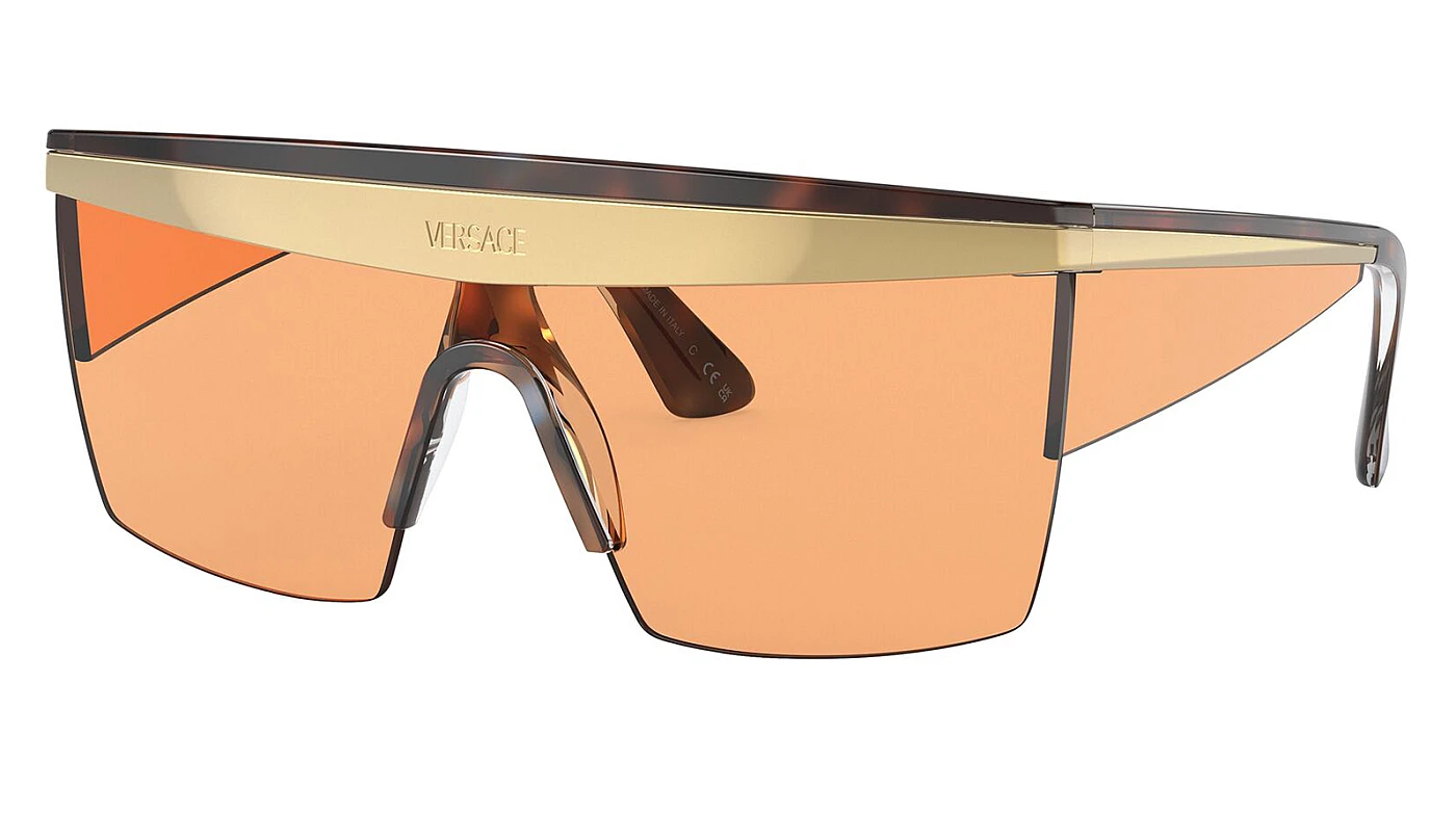 Мужские очки Versace 2254 100274 фото 1