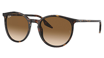 Ray-Ban RB 2204 902/51